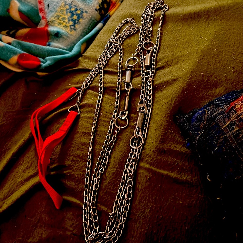 2 chain leashes